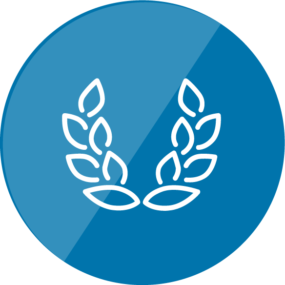 Skills icon